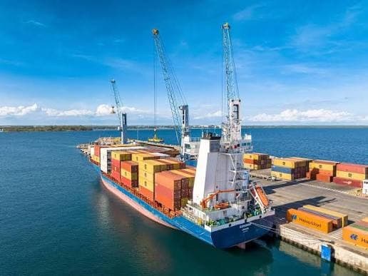 Port Infrastructure & Logistics Hubs